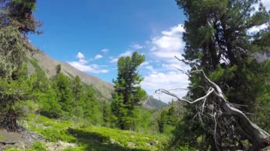 ProRes. Zaman atlamalı. Oluşumu ve bulutlar Dağların üzerinden hareket. Manzara. Sibirya.