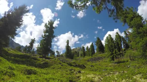 ProRes. Time-lapse. De vorming en verplaatsing van wolken over de bergen. Landschap. Siberië. — Stockvideo