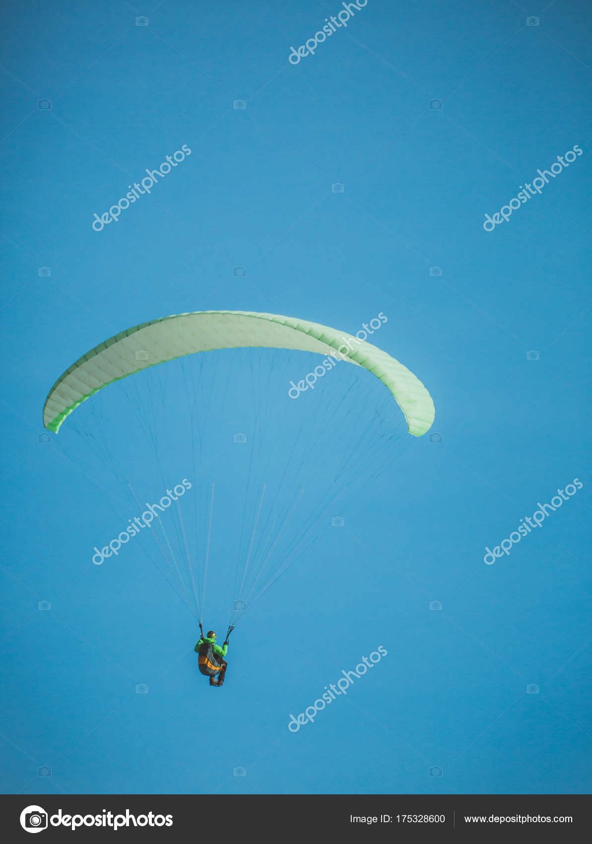 Planeur Para Oiseau Planeur Para Dans Ciel Vol Voile Para