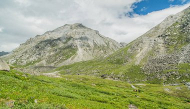 Dağ manzarası, doğa. Sibirya.
