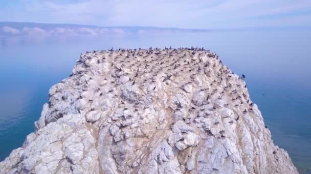 Prores Νησί Λίμνη Βαϊκάλη Τοπίο — Αρχείο Βίντεο