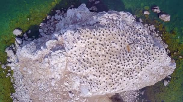 Prores Île Dans Lac Baïkal Paysage — Video