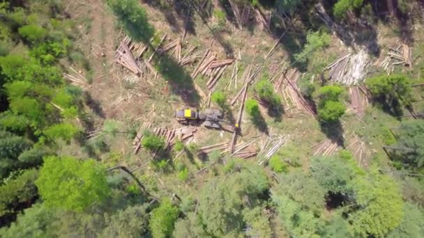 Prores Logboekregistratie Van Luchtfoto Siberische Woud — Stockvideo