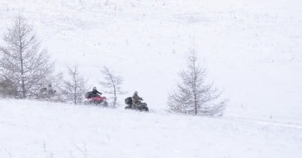 Prores Quad Ποδηλάτες Στην Πορεία Ταξίδια Τουρισμός — Αρχείο Βίντεο