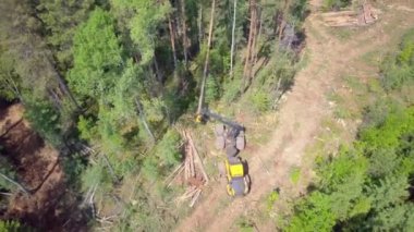 ProRes. Hava görmek, Sibirya orman günlüğü.