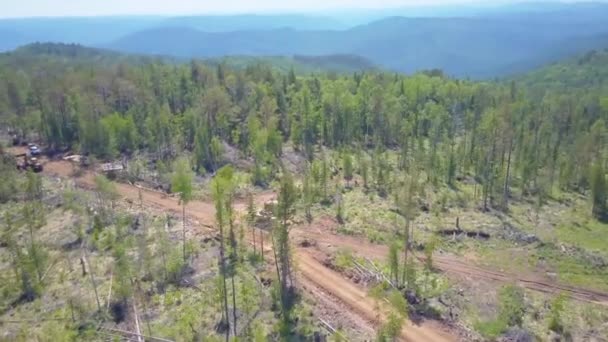Prores Protokollierung Von Luftbild Sibirischen Wald — Stockvideo