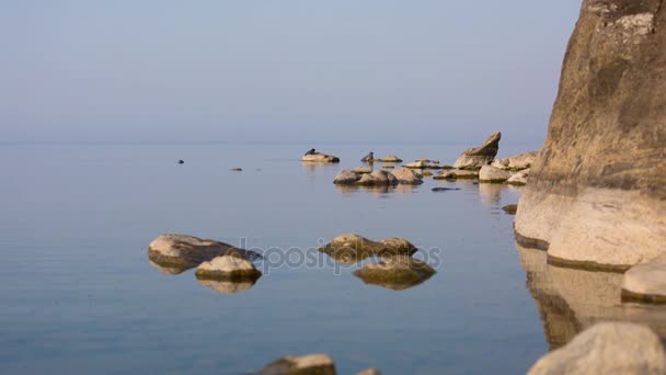 海狗海豹在贝加尔湖旅行 — 图库视频影像