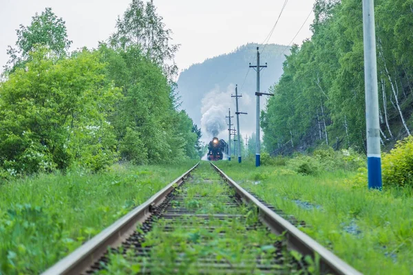Vintage, tarihi buharlı tren. Seyahat. Turizm.