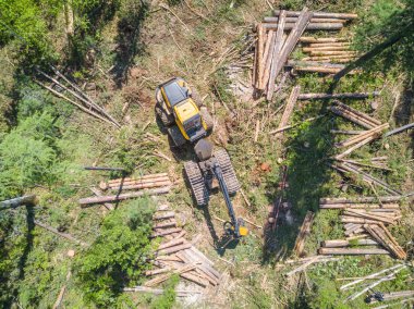 Hava görmek, Sibirya orman günlüğü.
