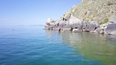 ProRes. Kayaların üzerinde dinlenme mühürler. Okyanusta mühür.