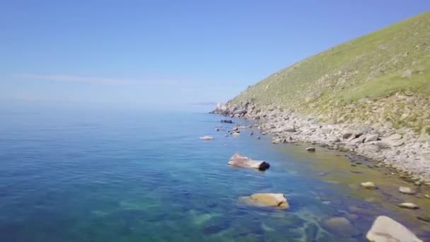 Prove Sigilli Appoggiati Sulle Rocce Sigillo Nell Oceano — Video Stock