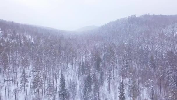 Prores Зимний Лес Скалы Воздуха Пейзаж — стоковое видео