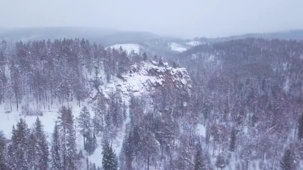 Prores Floresta Inverno Rochas Vista Aérea Paisagem — Vídeo de Stock