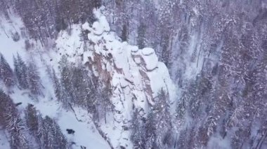 ProRes. Kış orman ve havadan görünümü kayalardan. Manzara.