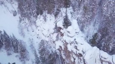 ProRes. Kış orman ve havadan görünümü kayalardan. Manzara.