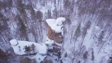 ProRes. Kış orman ve havadan görünümü kayalardan. Manzara.