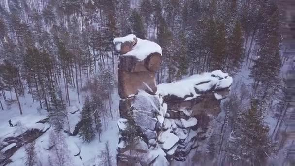 Prores Winterwald Und Felsen Aus Vogelperspektive Landschaft — Stockvideo