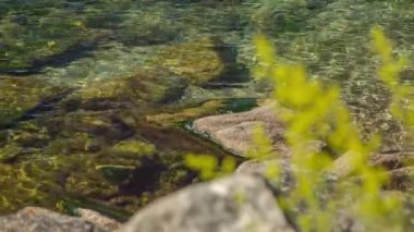 ProRes. Baykal göl kıyısı ve kayalar. Manzara.