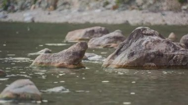 ProRes. Baykal göl kıyısı ve kayalar. Manzara.