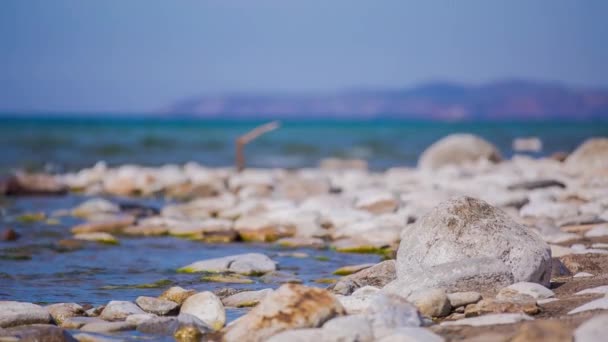 Prores Baykal Göl Kıyısı Kayalar Manzara — Stok video