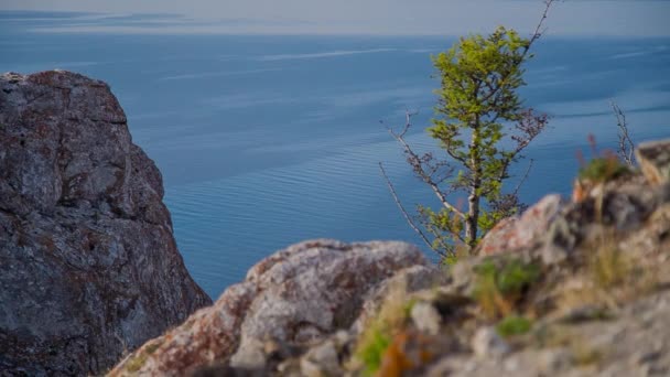 Prores Baikal Sjöstranden Och Stenar Landskap — Stockvideo