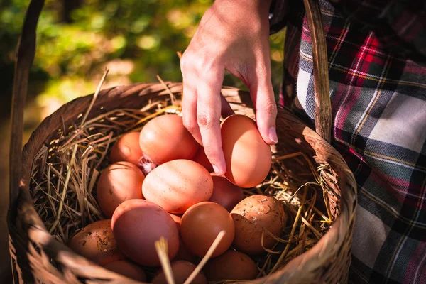 The lifestyle of the farm in the countryside