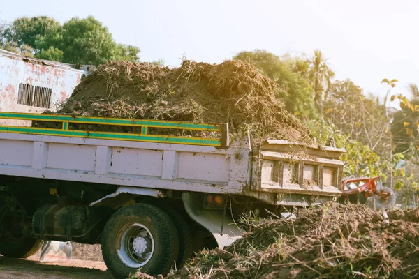 dump truck preparing ground for landscape improvement at propert
