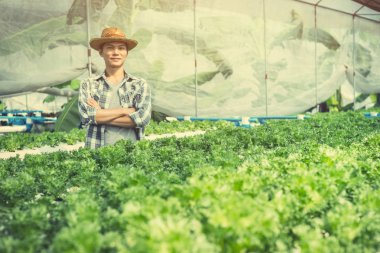 Hydroponic çiftlik teftiş ve büyüme sebze gözlemleyerek çiftçi