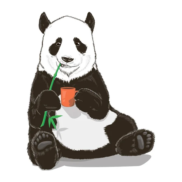 Panda z bambusa i filiżankę gorącej kawy, herbaty — Wektor stockowy