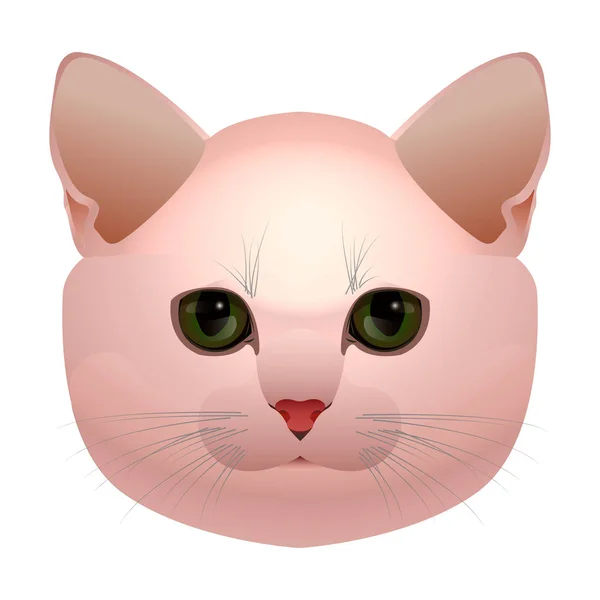 pink cat head with angry face with revenge Stock Vector Image & Art - Alamy