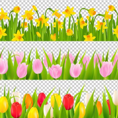 Lale ve Narcissus arka plan