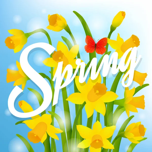 Frühlingspostkarte mit Narzisse — Stockvektor