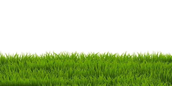 Green Grass backgrpond — Stockvector