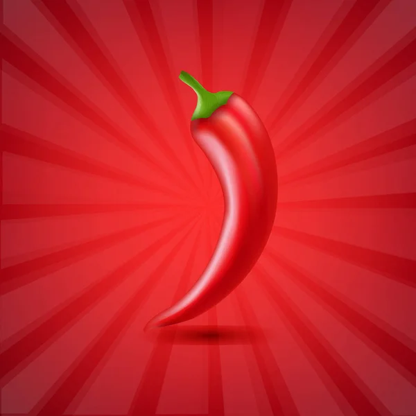 Hot Chilli Pepper — Stock Vector