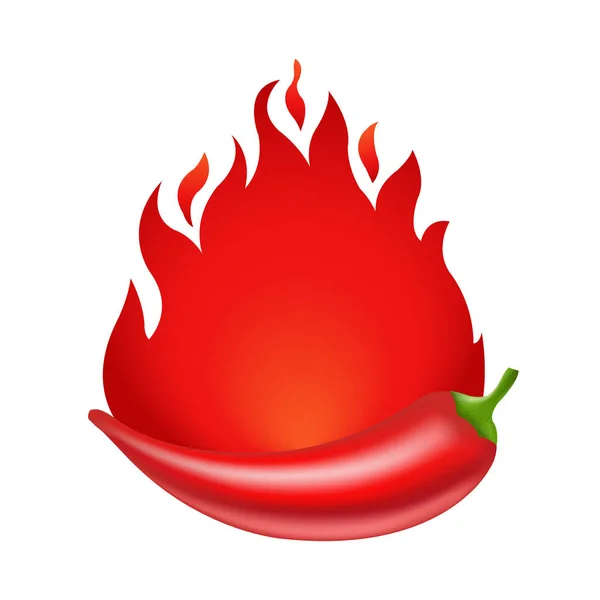 Hot Chili peper — Stockvector