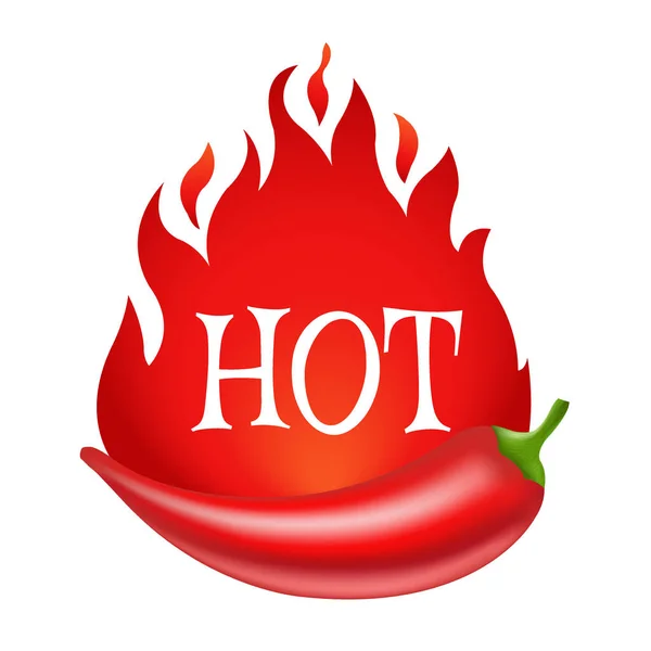 Hot Chili peper — Stockvector