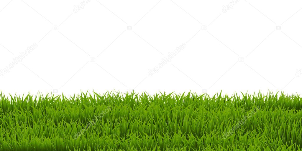 Green Grass backgrpond
