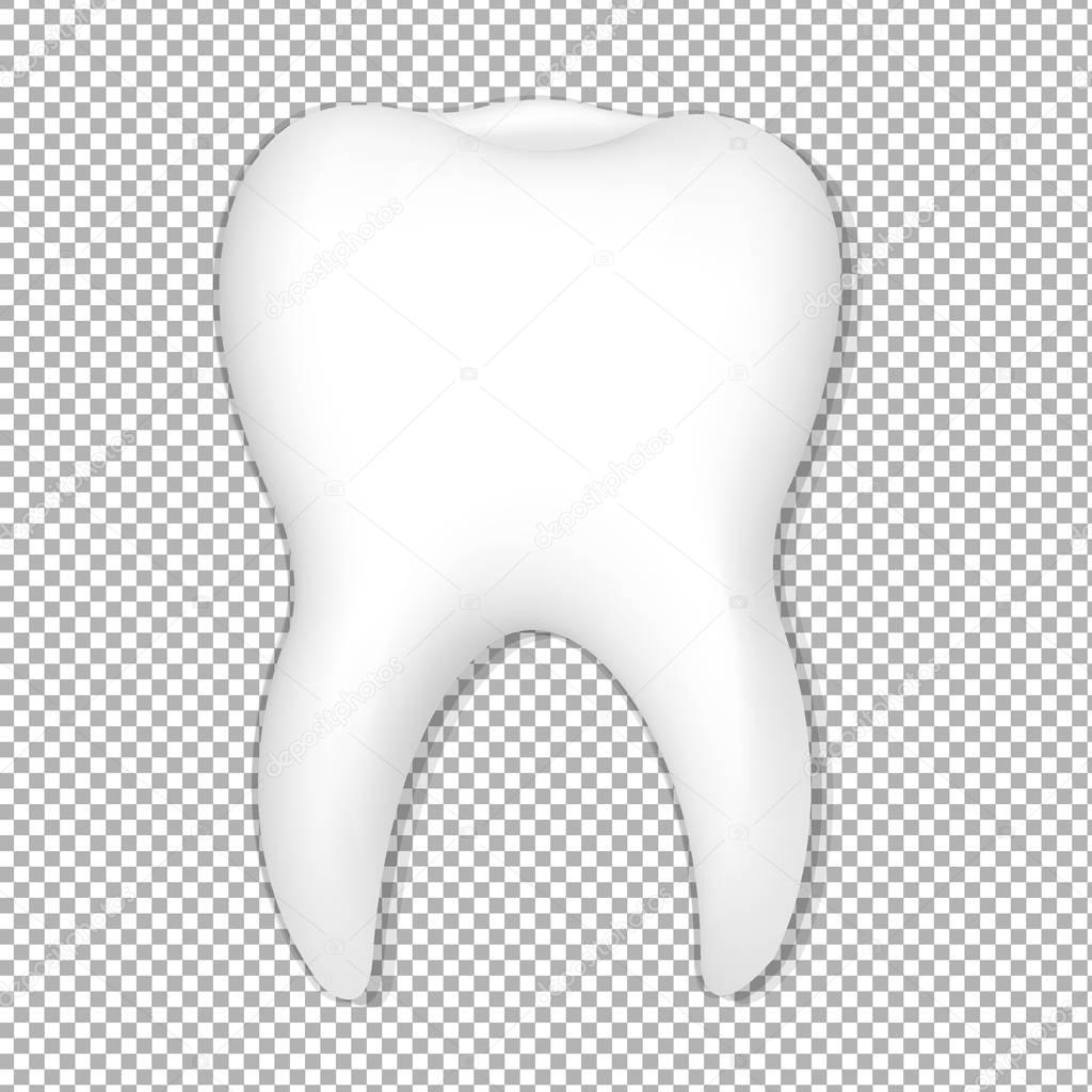 Tooth With Transparent Background