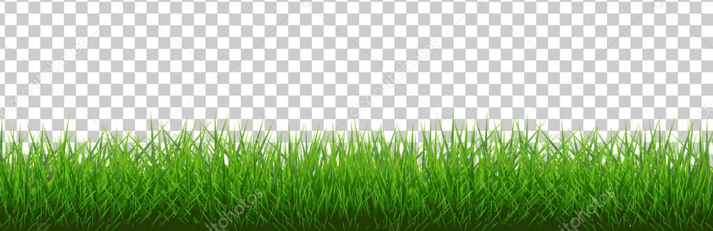Green Grass backgrpond