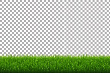 Yeşil Çimen Sınırı