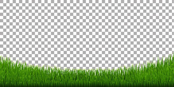 Groene Grasgrens — Stockvector