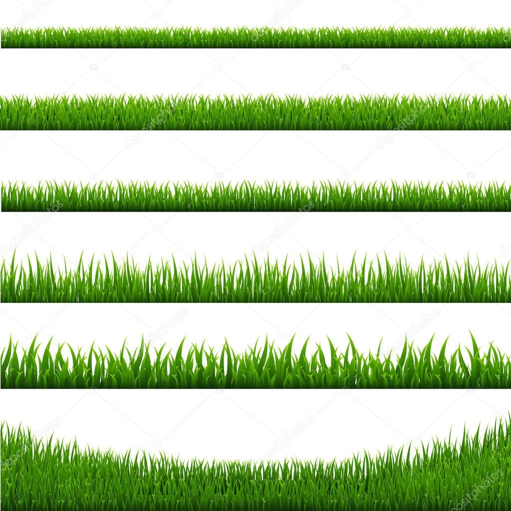 Set of Green Grass Borders 