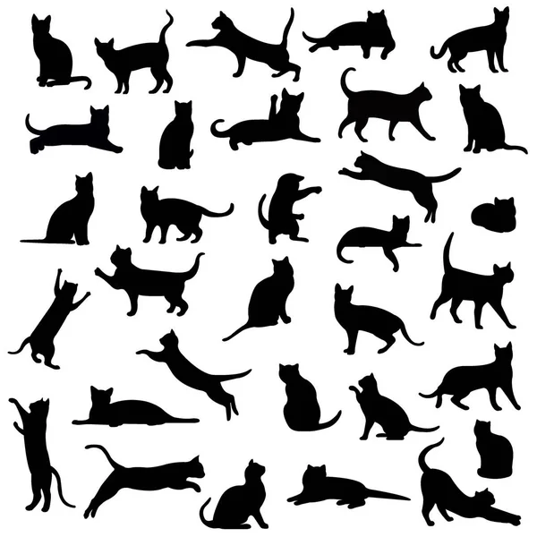 Silueta de gatos negros — Vector de stock