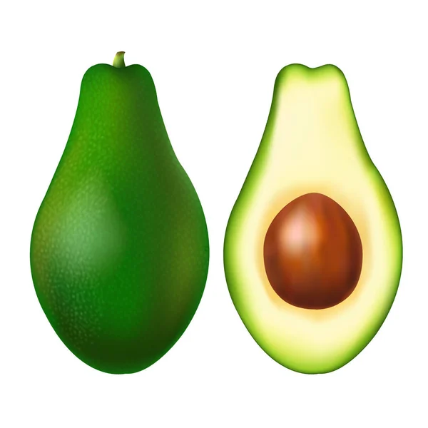 Avocado mit Gradientennetz — Stockvektor