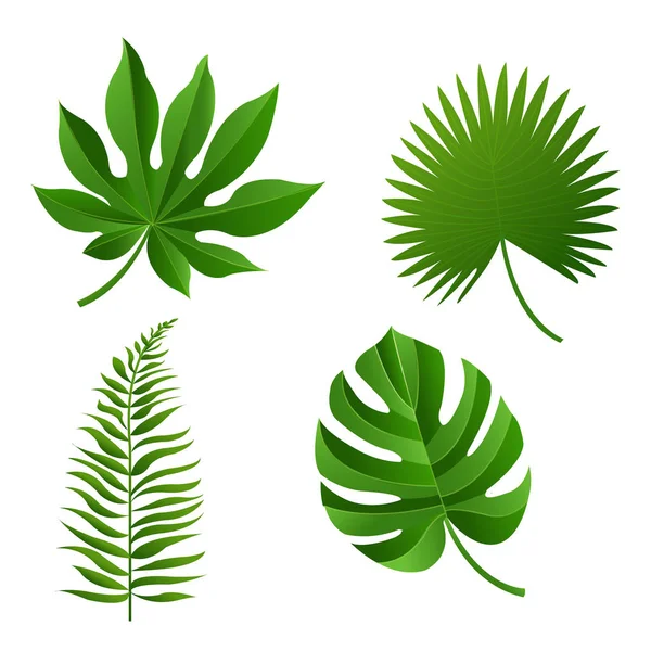 Hojas tropicales verdes — Vector de stock