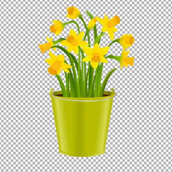 Narcissus In Pot Gradient Mesh — Stock Vector