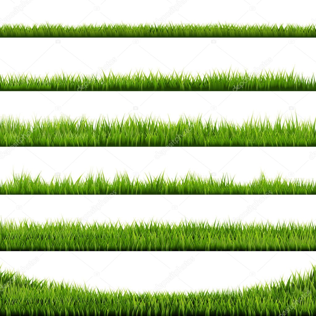 green Grass Frame