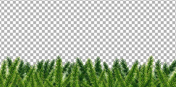 Kerstboom takken — Stockvector