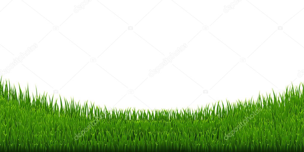 green Grass Border