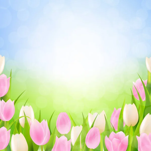 Pastel printemps tulipes frontière — Image vectorielle